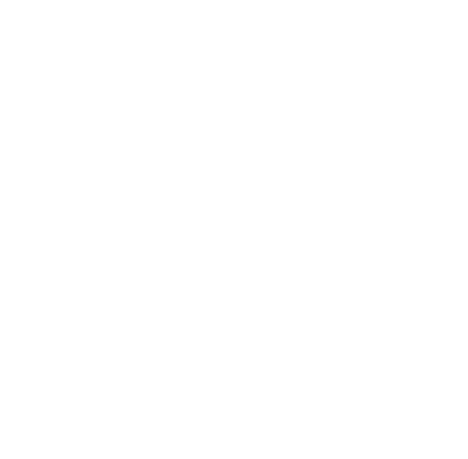 Music Academy International